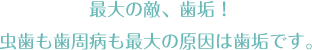 最大の敵、歯垢！虫歯も歯周病も最大の原因は歯垢です。